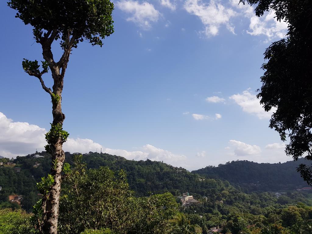 Ferienwohnung Knight'S Heaven Kandy Exterior foto